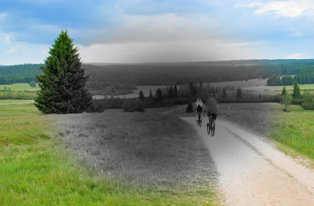 Early Signs and Symptoms of Dry AMD