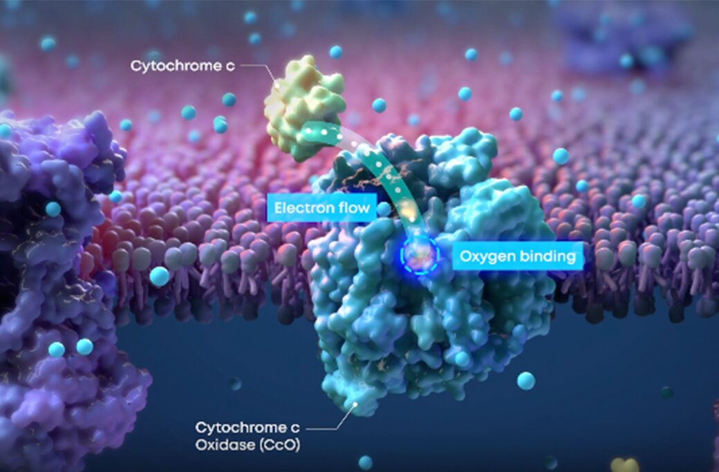 What Is Valeda Therapy for Dry AMD?
