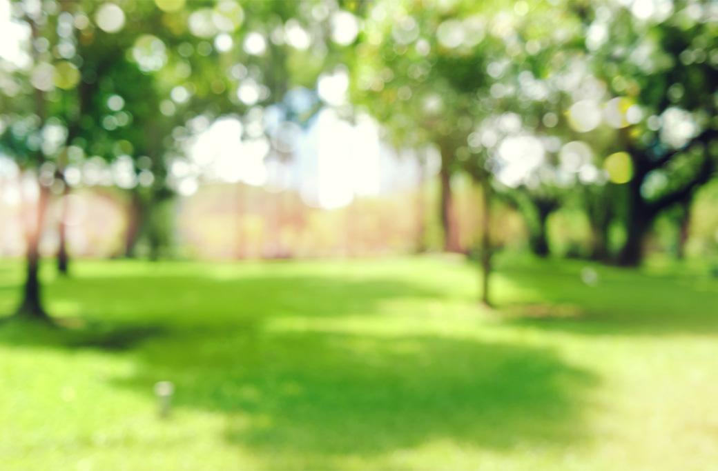 Sudden blurry vision can have many causes, from temporary changes to conditions requiring prompt evaluation.