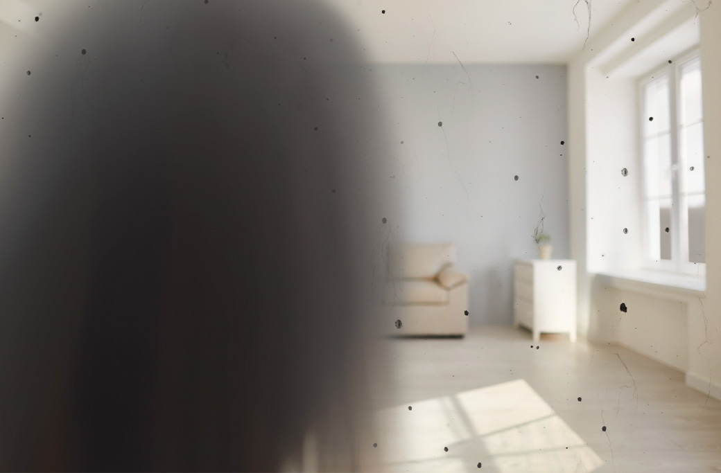 Vision simulation showing flashes, floaters and a curtain-like shadow.